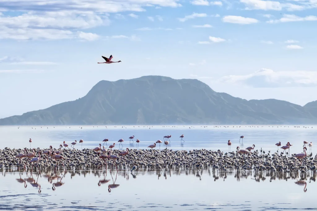 Lake natron